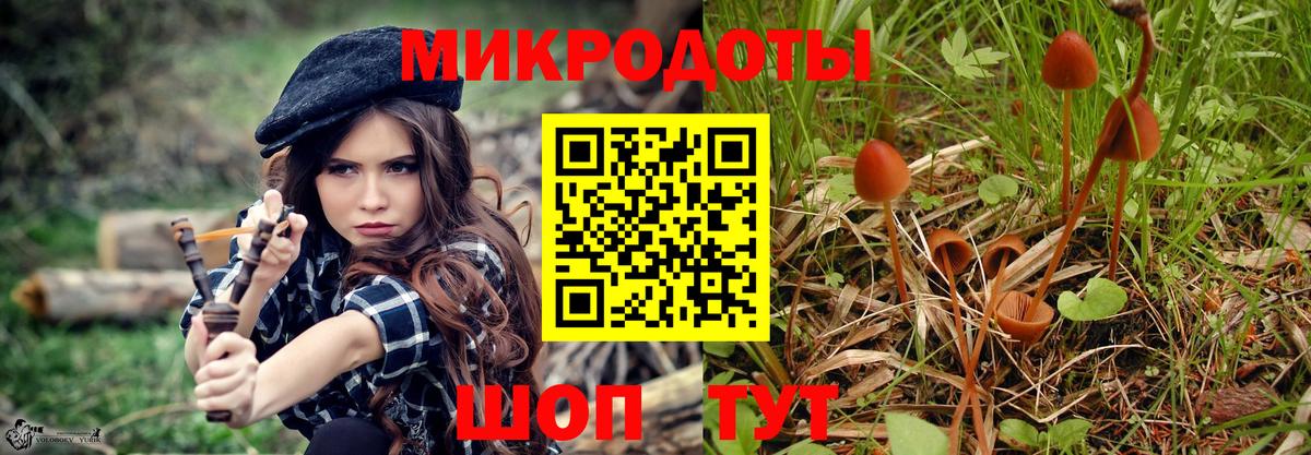 Галлюциногенные грибы прущие грибы Кандалакша